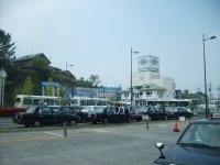 S5003598.JPG